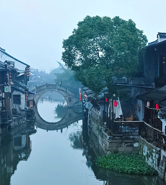 Shanghai/Hangzhou to Wuzhen One-Day Tour (East & West Scenic Zone) Classic Tour