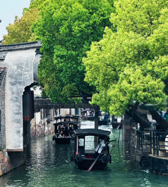 Shanghai/Hangzhou to Wuzhen One-Day Tour (East & West Scenic Zone) Classic Tour