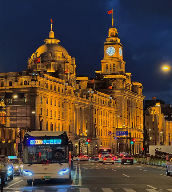 Shanghai One-Day Tour (Tianzifang+Yu Garden) Famous Landmark